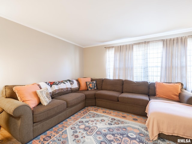 living area featuring ornamental molding