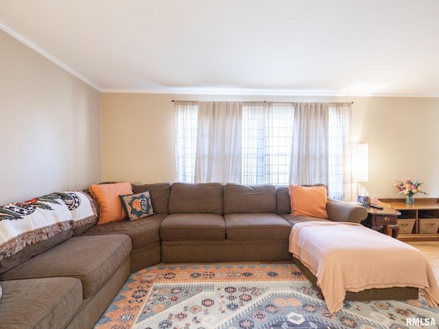 living area with ornamental molding and a wealth of natural light