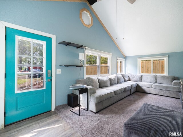 living room with lofted ceiling and wood finished floors