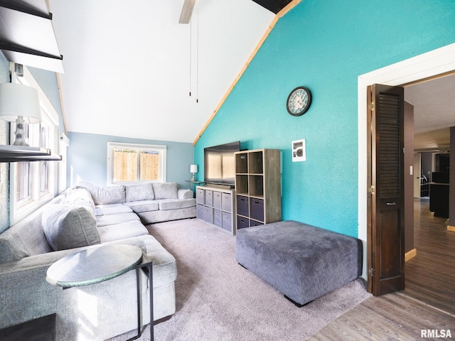 living area with wood finished floors, lofted ceiling, and a textured wall