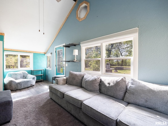 living area featuring a textured wall, wood finished floors, a healthy amount of sunlight, and high vaulted ceiling