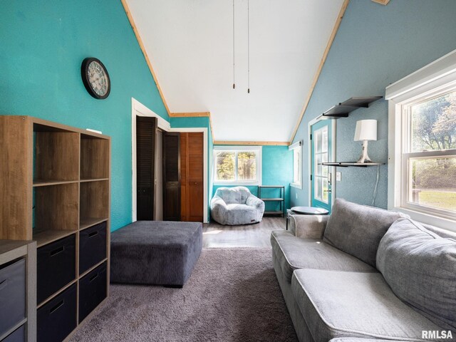 living area with lofted ceiling