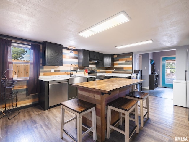 kitchen with light wood finished floors, a healthy amount of sunlight, butcher block counters, and appliances with stainless steel finishes