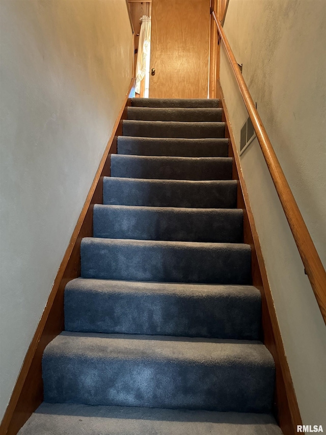 stairs featuring carpet floors