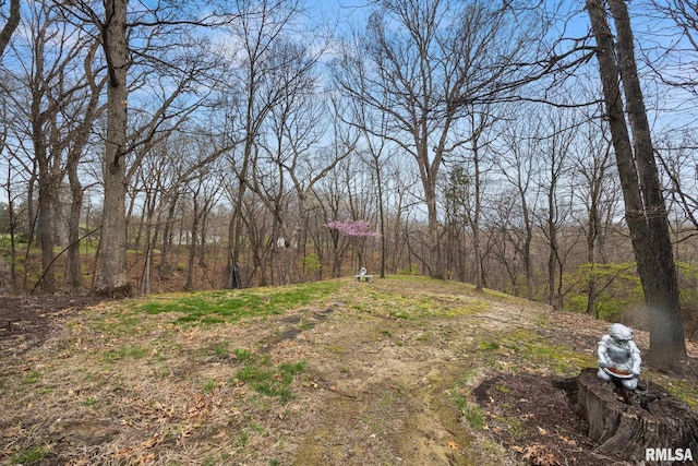 view of yard with a view of trees