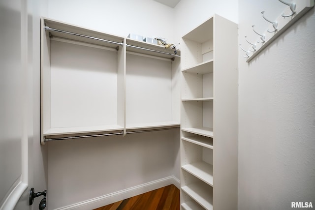 spacious closet featuring dark wood-type flooring