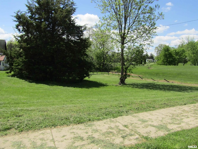 906 E Broadway St, Astoria, IL 61501 - view of yard