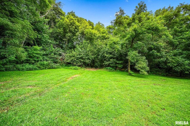 21016 N US Highway 24, Canton, IL 61520 - view of yard featuring a wooded view