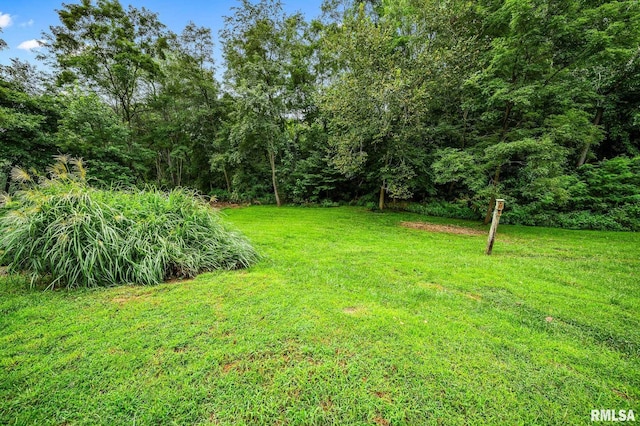 21016 N US Highway 24, Canton, IL 61520 - view of yard