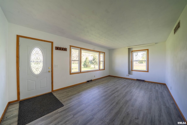 foyer entrance with plenty of natural light and wood finished floors