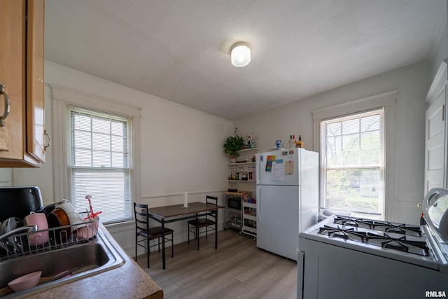 1624 W Barker Ave, Peoria, IL 61606 - kitchen with white appliances, a sink, healthy amount of natural light, and light wood-style flooring