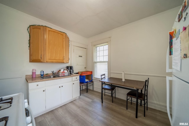 1624 W Barker Ave, Peoria, IL 61606 - kitchen with freestanding refrigerator, stove, a sink, light wood-type flooring, and light countertops