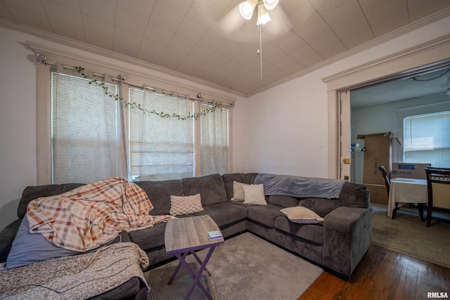 1624 W Barker Ave, Peoria, IL 61606 - living room with crown molding, hardwood / wood-style flooring, plenty of natural light, and ceiling fan