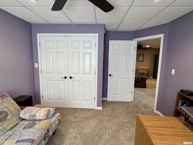 bedroom with carpet, a paneled ceiling, a closet, and ceiling fan