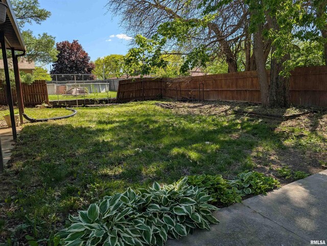view of yard