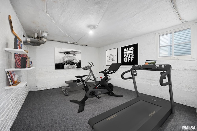 1803 W Barker Ave, Peoria, IL 61606 - workout area featuring carpet floors