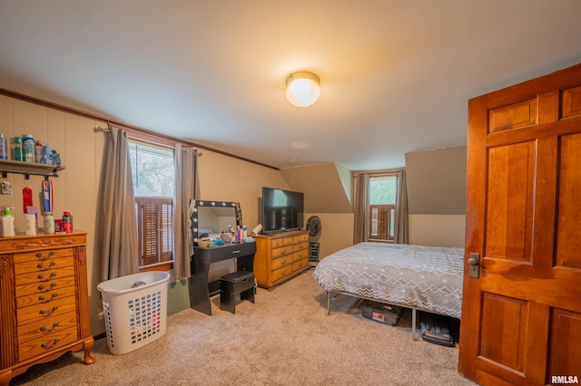 bedroom with carpet floors