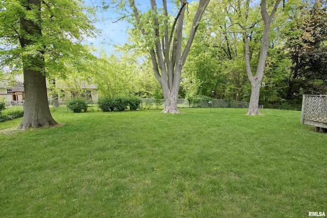view of yard