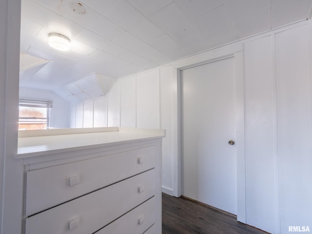spacious closet with dark wood finished floors and vaulted ceiling