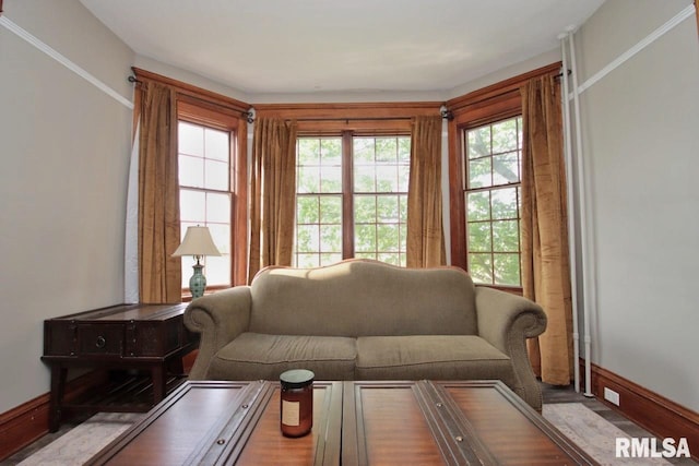 102 2nd St, Camp Grove, IL 61424 - living area featuring baseboards