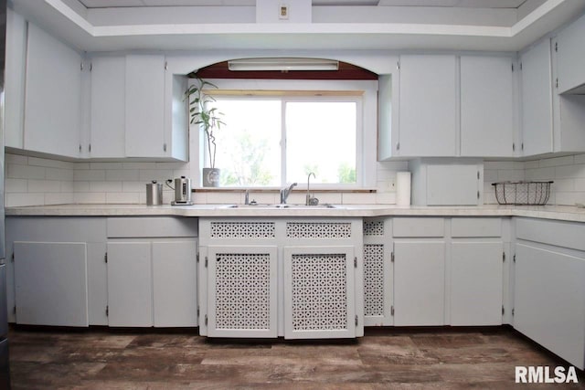 102 2nd St, Camp Grove, IL 61424 - kitchen with a sink, light countertops, tasteful backsplash, dark wood-style flooring, and arched walkways