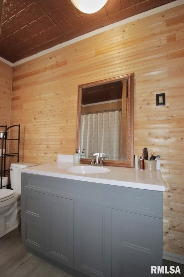 102 2nd St, Camp Grove, IL 61424 - full bath featuring wooden walls, vanity, toilet, wood finished floors, and a shower with shower curtain