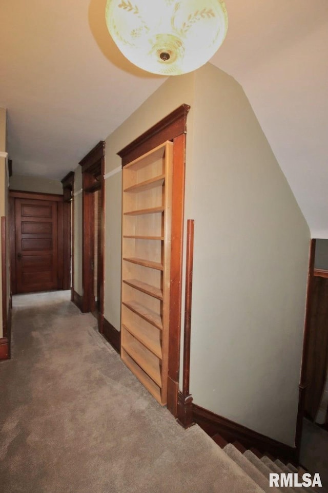 102 2nd St, Camp Grove, IL 61424 - corridor with carpet floors, baseboards, and lofted ceiling