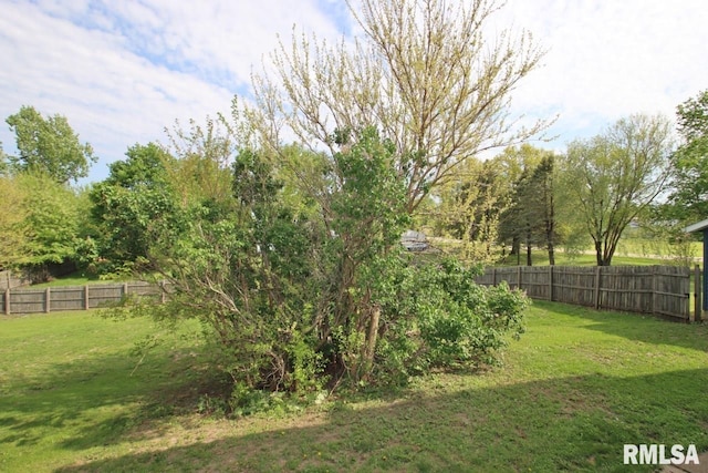 102 2nd St, Camp Grove, IL 61424 - view of yard