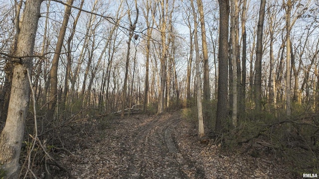 00 N Hardscrabble Rd, Sparland, IL 61565