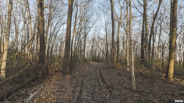 00 N Hardscrabble Rd, Sparland, IL 61565