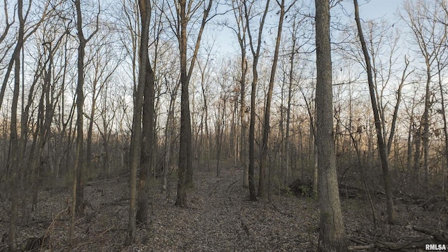 00 N Hardscrabble Rd, Sparland, IL 61565