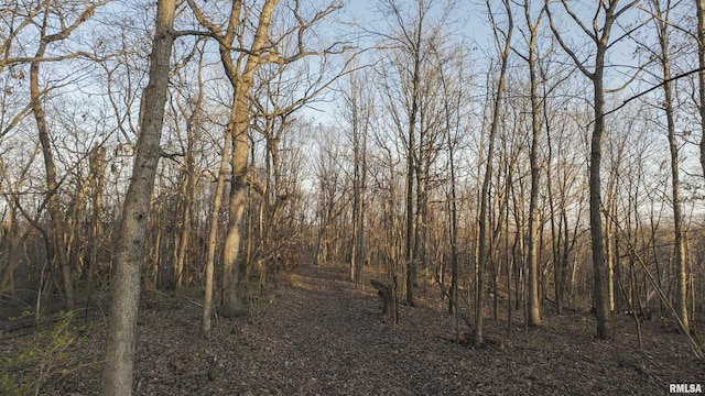 00 N Hardscrabble Rd, Sparland, IL 61565