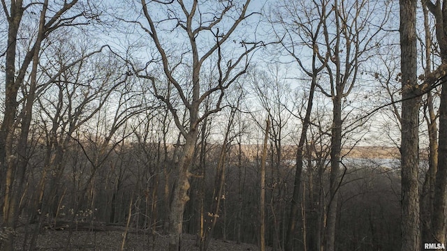 00 N Hardscrabble Rd, Sparland, IL 61565