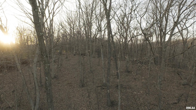 00 N Hardscrabble Rd, Sparland, IL 61565