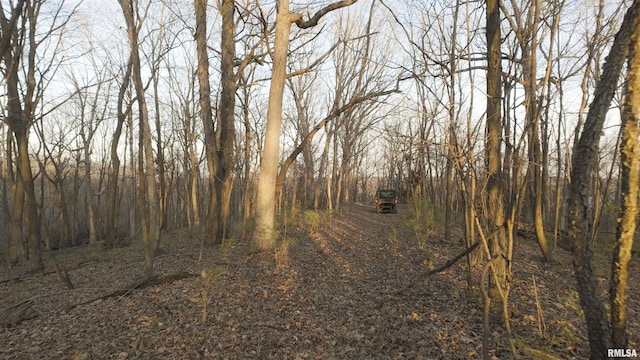 00 N Hardscrabble Rd, Sparland, IL 61565
