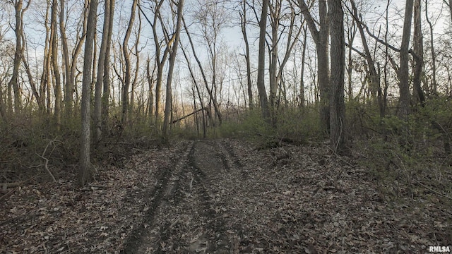00 N Hardscrabble Rd, Sparland, IL 61565