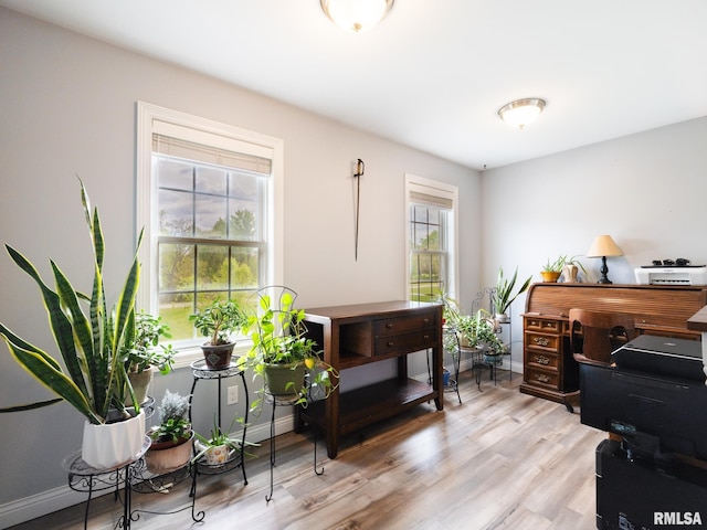 office space with healthy amount of natural light, light wood-type flooring, and baseboards