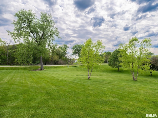 view of green lawn