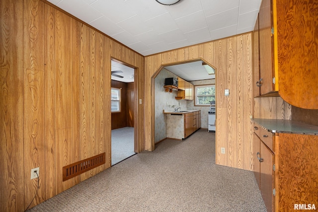 105 S Spruce St, Delavan, IL 61734 - photo 5
