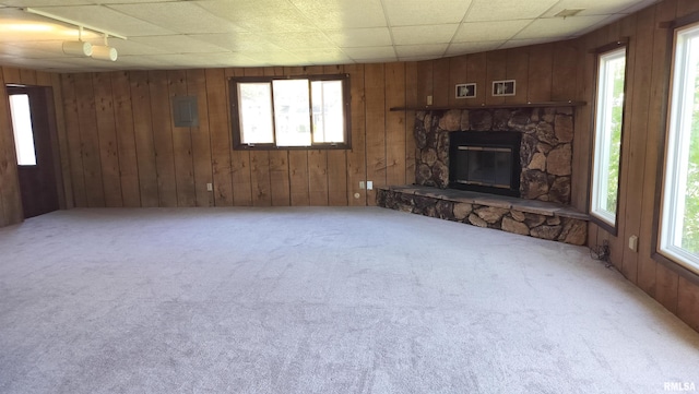 927 W Oakview Dr, Peoria, IL 61615 - unfurnished living room with carpet, wood walls, and a stone fireplace