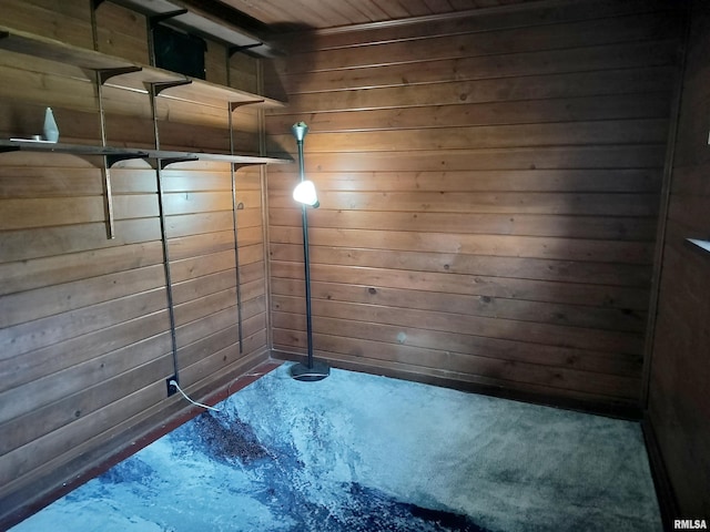 927 W Oakview Dr, Peoria, IL 61615 - below grade area with wooden walls