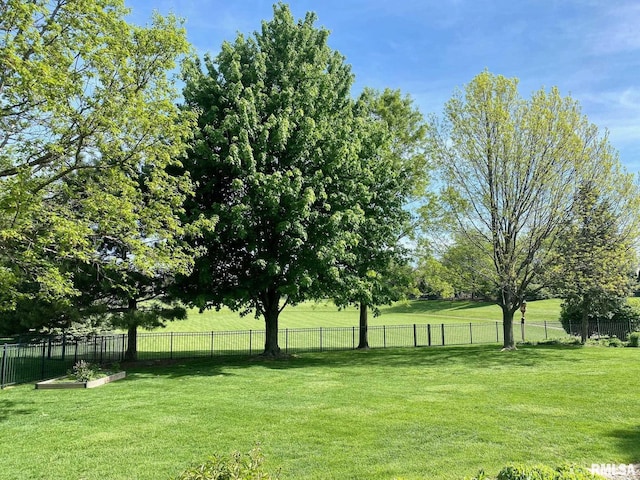 11506 N Bristol Dr, Dunlap, IL 61525 - view of yard