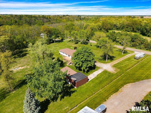 drone / aerial view of a forest