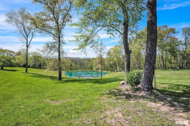 view of grassy yard featuring a wooded view