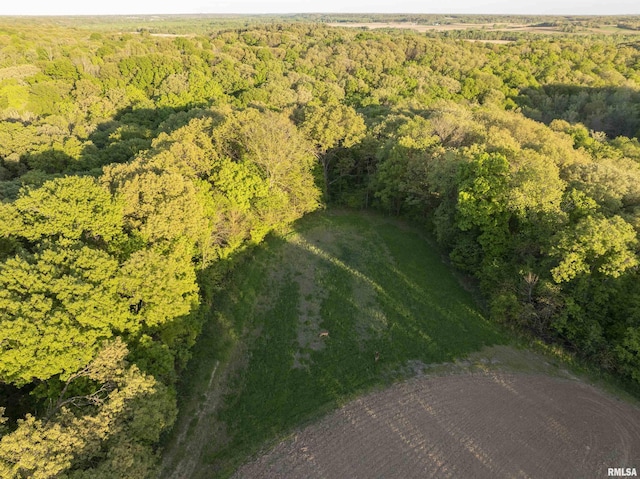 0 Chambers Rd, Smithfield, IL 61477 - photo 2