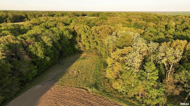 0 Chambers Rd, Smithfield, IL 61477 - photo 11