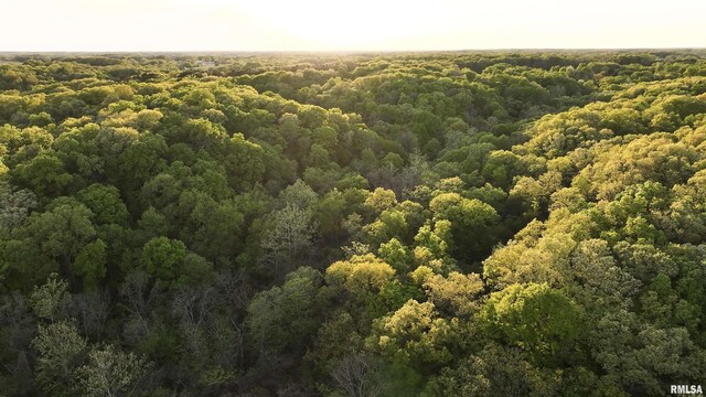 0 Chambers Rd, Smithfield, IL 61477 - photo 14