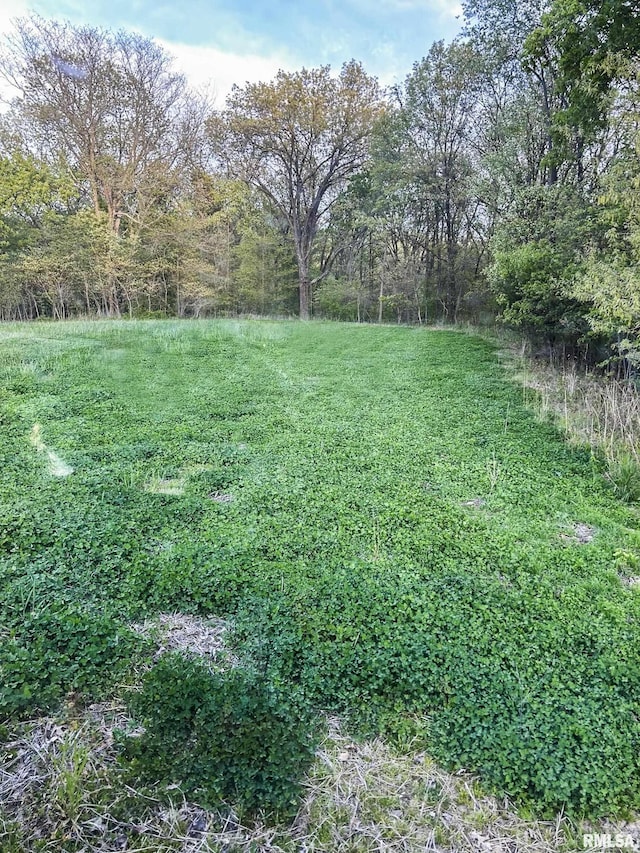 0 Chambers Rd, Smithfield, IL 61477 - photo 15