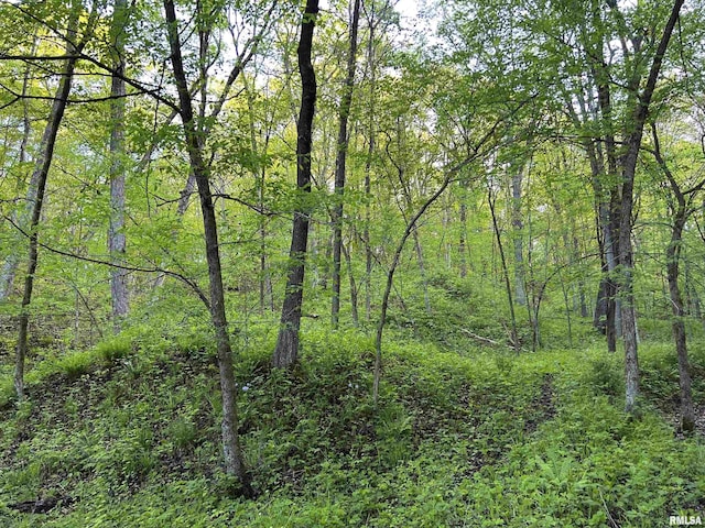 0 Chambers Rd, Smithfield, IL 61477 - photo 17