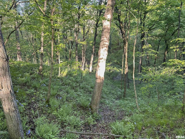 0 Chambers Rd, Smithfield, IL 61477 - photo 20